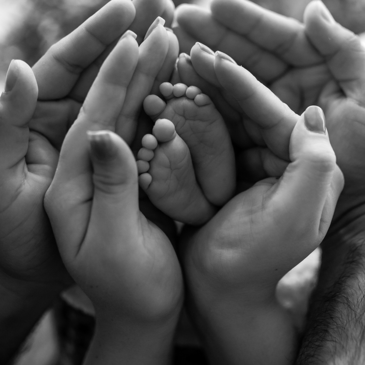 Postpartum Doula Services