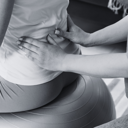 Birth Doula Services